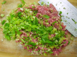 【私房江南鲜】：猪肉芹菜莲藕饺子的做法步骤：5