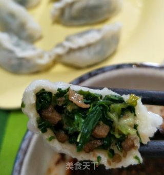 荠菜饺子