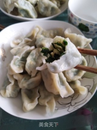 韭菜鸡蛋虾米饺子