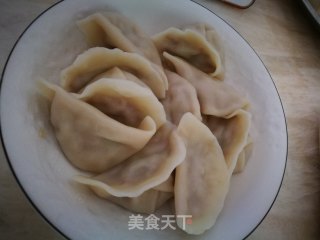 蒲瓜瘦肉饺子