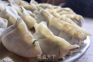 小茴香猪肉饺的做法