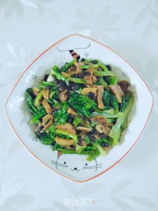 豆豉油麦菜的做法