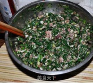 野菜饺子的做法步骤：2