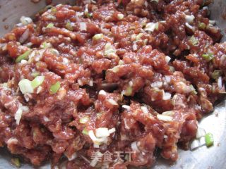 饺子的详细做法---田园青椒饺的做法步骤：8