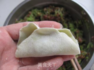 饺子的详细做法---田园青椒饺的做法步骤：14