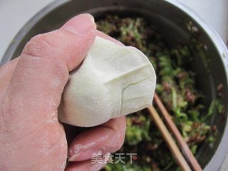 饺子的详细做法---田园青椒饺的做法步骤：15