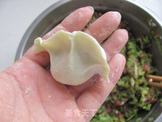 饺子的详细做法---田园青椒饺的做法步骤：16