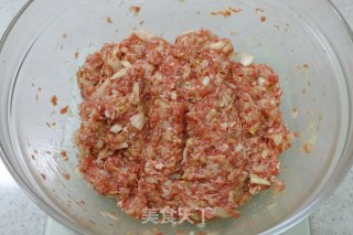 美味儿牛肉馅饼的做法步骤：3