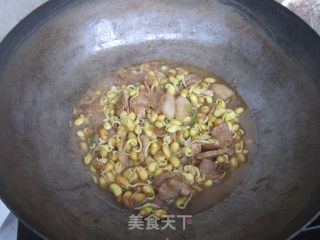 黄豆芽炒肉的做法步骤：9