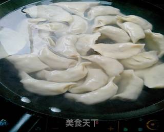 营养又美味——马齿苋菜干鲜肉水饺的做法步骤：17