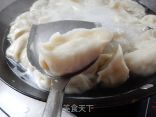 豆角猪肉饺子的做法步骤：15