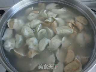 韭菜鸡蛋饺子的做法步骤：15