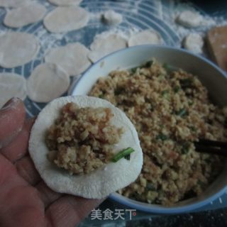 芋荠猪肉饺子的做法步骤：9