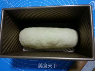 蔓越莓低油炼乳吐司的做法步骤：11