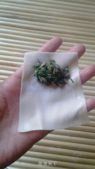 荠菜馄饨的做法步骤：7