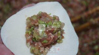 羊肉白菜水饺的做法步骤：14