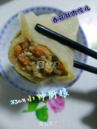 香菇鲜肉饺子~香菇胡萝卜大肉饺儿的做法步骤：12