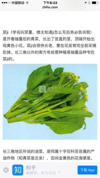 腌菜薹（上海话：菜ji）烧黄鱼的做法步骤：10