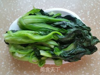 青菜豆腐包子的做法步骤：4