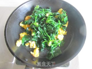 菠菜炒鸡蛋的做法步骤：6