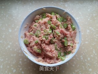 肉末土豆泥煎饺的做法步骤：4