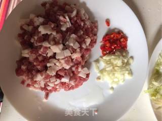 萝卜干炒肉百搭款的做法步骤：4