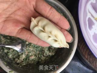 韭菜饺子的做法步骤：12