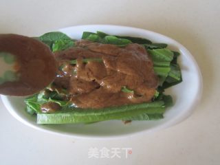 麻酱油麦菜的做法步骤：5