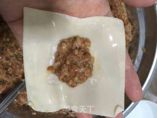 鲜肉馄饨的做法步骤：9