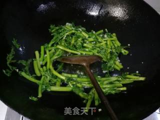 十分钟快手菜蒜蓉茼蒿的做法步骤：4