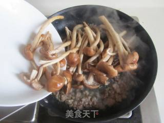 肉末茶树菇粉丝煲的做法步骤：5