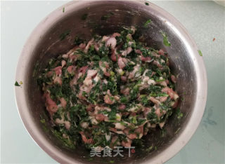 荠菜鲜肉大馄饨的做法步骤：5