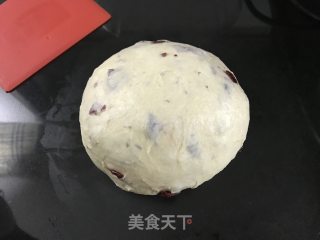 蔓越莓奶酪面包卷的做法步骤：8