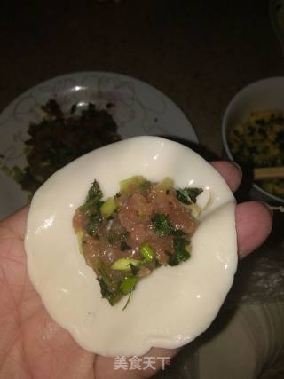 荠菜饺子的做法步骤：4