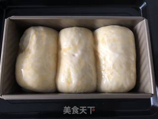 中种炼乳吐司的做法步骤：11