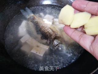 鲫鱼豆腐汤的做法步骤：8