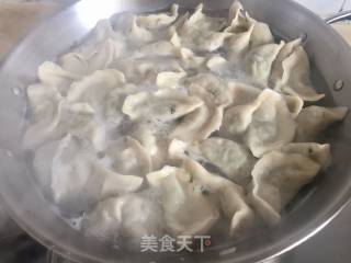 冬日暖阳之  小茴香萝卜肉饺的做法步骤：9