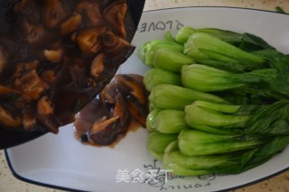 香菇扒青菜的做法步骤：7