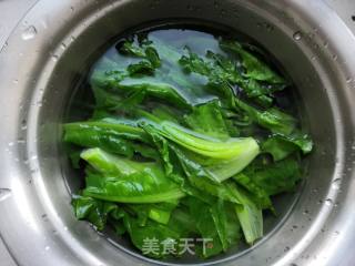 麻酱油麦菜的做法步骤：5