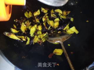 干烧豆瓣茄子的做法步骤：11