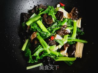 黑木耳腐竹炒菜芯的做法步骤：7