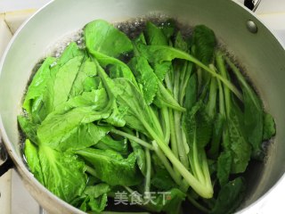 小白菜冻豆腐大虾汤的做法步骤：2