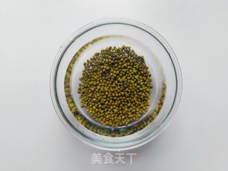 发绿豆芽的做法步骤：2