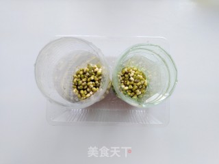 发绿豆芽的做法步骤：5