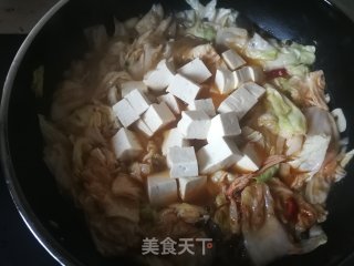 白菜豆腐炖粉条的做法步骤：9