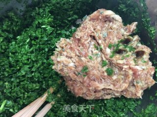 鲜肉荠菜饺子的做法步骤：4