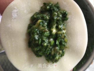 鲜肉荠菜饺子的做法步骤：6