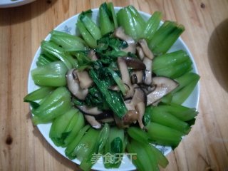 香菇烧青菜的做法步骤：7