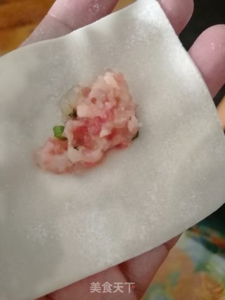 福贵虾肉小馄饨的做法步骤：13