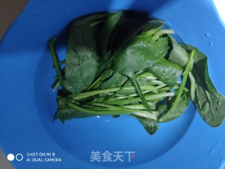 菠菜鸡蛋饼的做法步骤：1